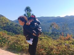 -大姆山草场