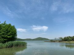 -蠡湖中央公园