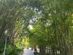 -晓港公园