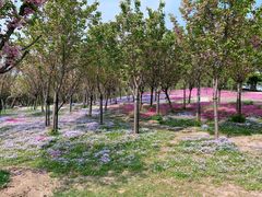 -南通洲际绿博园