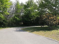 -梁鸿国家湿地公园
