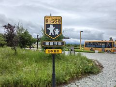 -黑瞎子岛探秘野熊园