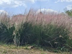 -虞山城墙