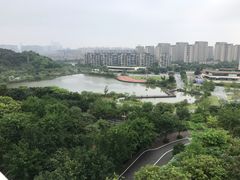 -飞凤山奥体公园