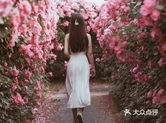 郑州拍照地#郑州周末游#百亩蔷薇迷宫