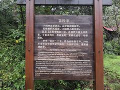 景点-庐山风景区花径公园