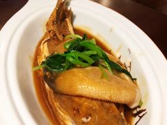 -肆月河豚·新淮扬(金融街店)