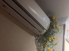 -理疗君·古法推拿姜疗SPA馆(东门店)