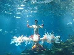 -海合安武汉极地海洋公园