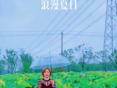 -梁鸿国家湿地公园