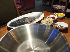 -红牌美蛙鱼头火锅(万辉国际广场店)