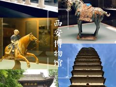 -陕西历史博物馆