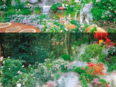 -深圳仙湖植物园