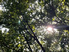 -火炉山森林公园