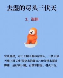 -Fundi张玉珊修身堂·indiba·BTL科技瘦身