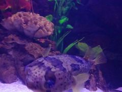 -梦幻海洋王国(吾悦广场张家港店)