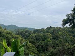 -广州市帽峰山景区