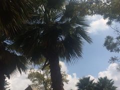 -昆明南亚风情园豪生大酒店-泰式国际海鲜自助餐厅