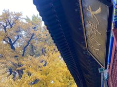 -红螺寺