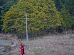-酒仙湖景区