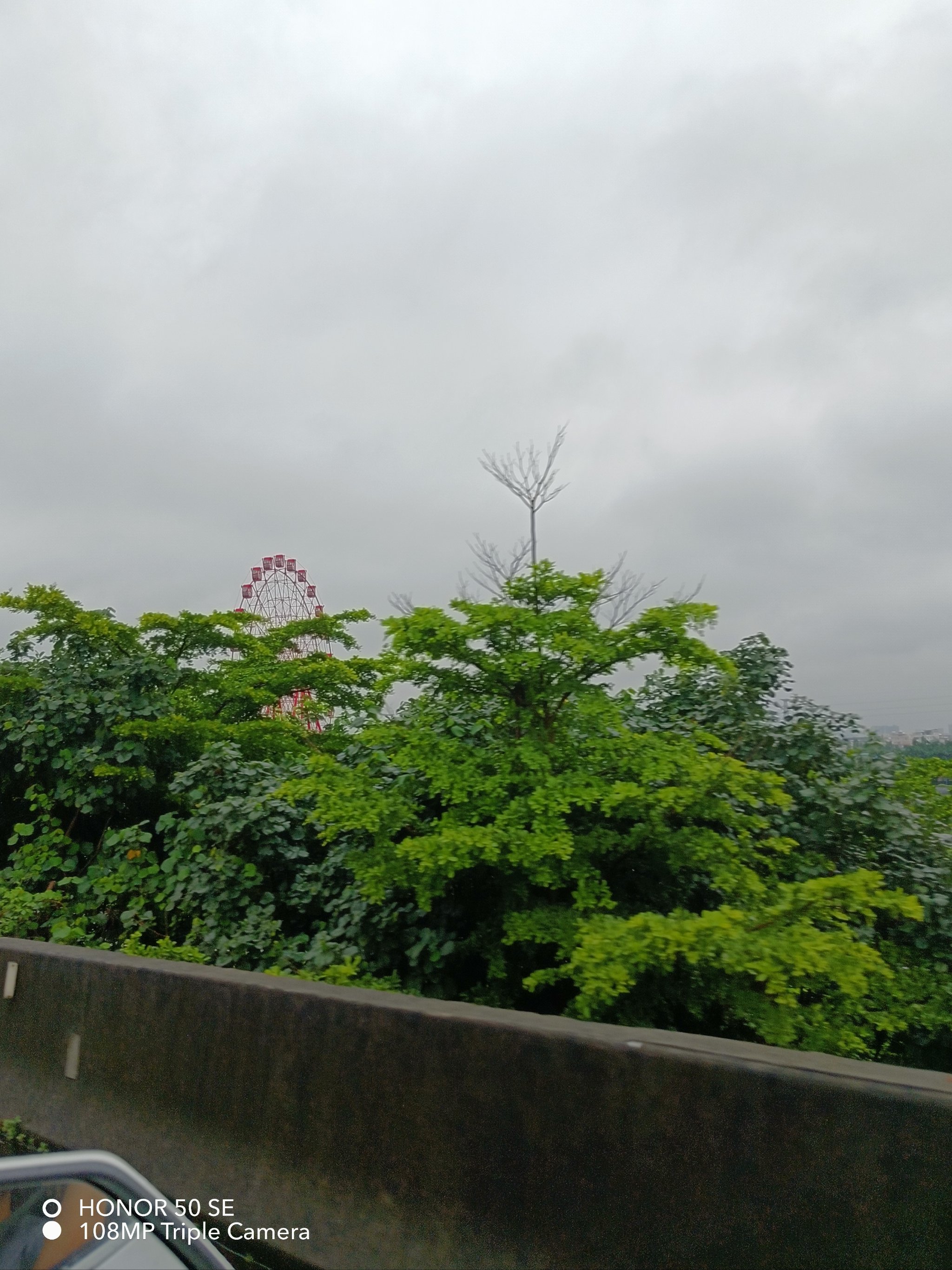 清新雨后空气