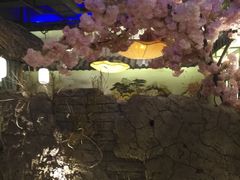 -淀里船宴(裕华东路店)