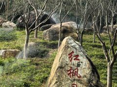 -广州市帽峰山景区