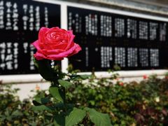 -宝墨园景区