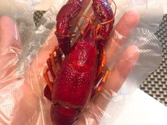 -新发展亚太JW万豪酒店·福苑咖啡厅