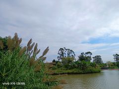 -江门古劳水乡旅游区