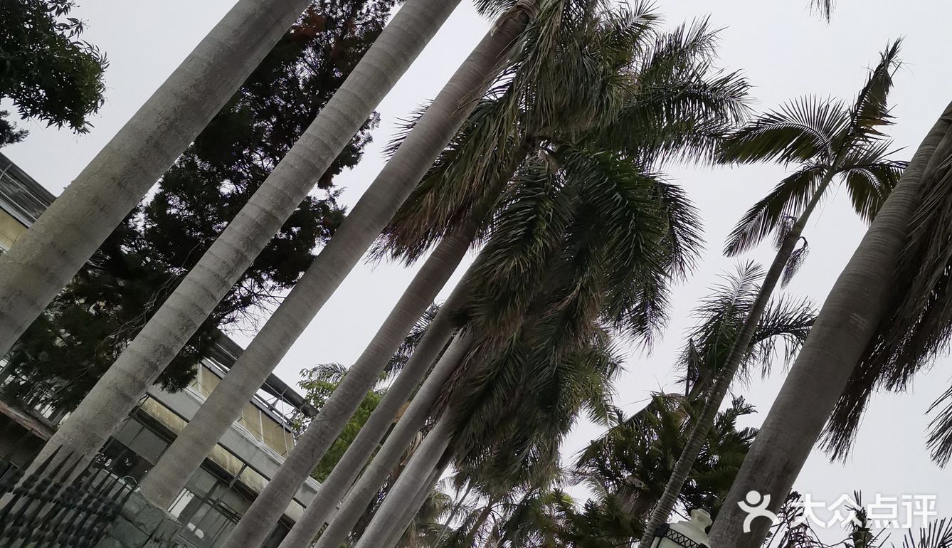鼓浪屿，情侣的打卡圣地。极具浪漫主义的海滨小岛