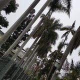 鼓浪屿，情侣的打卡圣地。极具浪漫主义的海滨小岛
