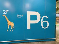 -虹桥综合交通枢纽-P6停车库