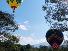 -中国科学院西双版纳热带植物园