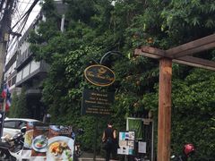 -Fern Forest Cafe