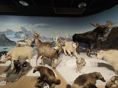 -陕西自然博物馆