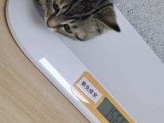 -谐和贝康宠物医院24小时·宠保定点(急重症转诊中心)