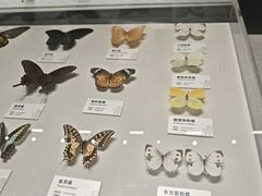 -四川大学博物馆