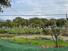 -丫丫蟹庄·苏式园林农家乐·阳澄湖大闸蟹(阳澄湖莲花岛店)