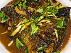 红烧粉丝花鲢鱼头-七宝农家菜(七宝老街店)
