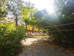 -山东师范大学(千佛山校区)