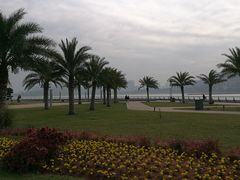-野狸岛