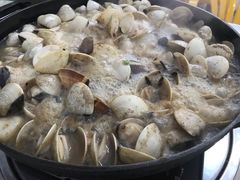 -顺德哥卜卜贝(旗舰店)