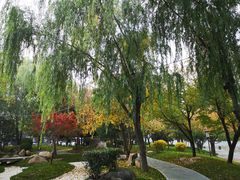 -唐城墙遗址公园