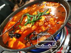 -湘肠香火锅店(团结湖店)