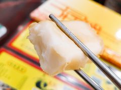 炸牛奶-民信老铺(华盖路店)