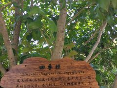 -东方假日田园-停车场