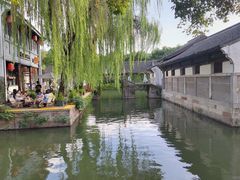 -鲁镇