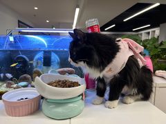 -美迦爱-牙专科·兔科·骨科诊疗中心(北苑店)