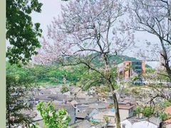 -东钱湖旅游度假区